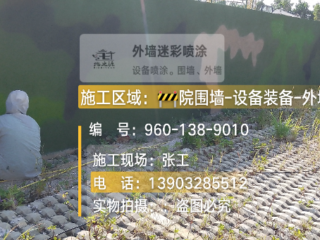阿拉尔外墙迷彩漆材料价约 45-60 元 /k