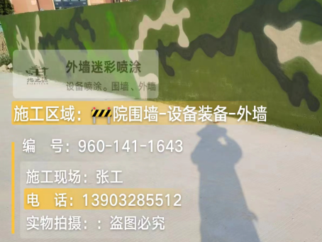 阿拉尔 迷彩漆喷涂价格（按平方米计费）