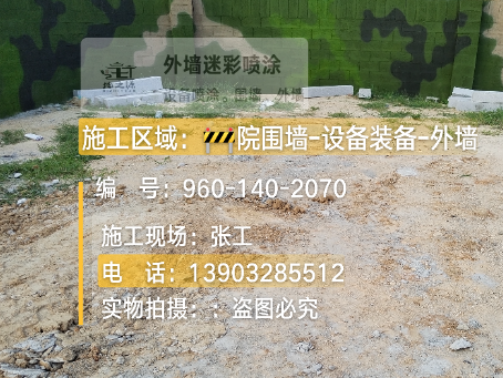 阿拉尔迷彩漆喷涂方法（通用 + 数码专项